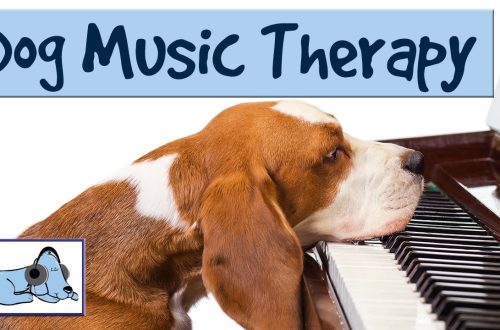 Muzikoterapija za pse: kada može pomoći?