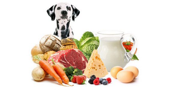 Natural food for dogs