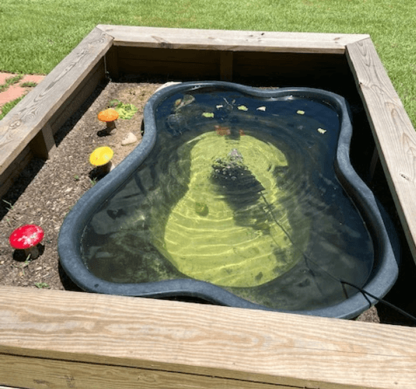 Outdoor pond for aquatic turtle