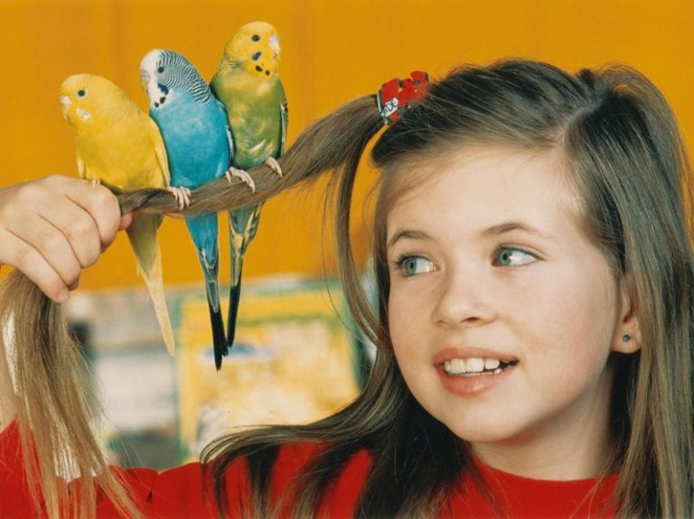 Parrots and children
