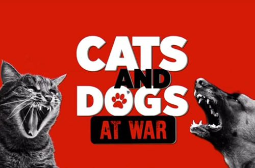 Petvar: kasside ja koerte sõda