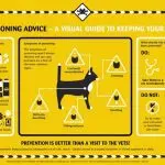 Poisoning in cats: symptoms and what should the owner do?