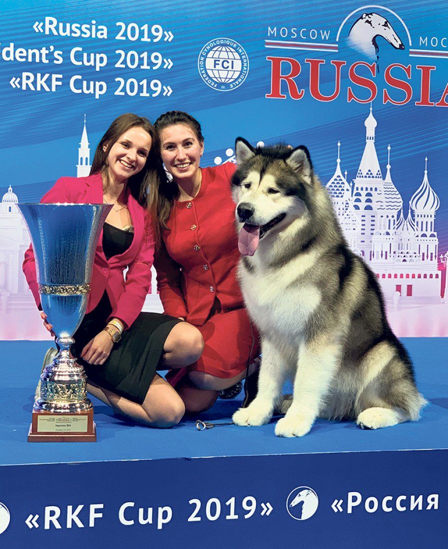 Popularne izložbe pasa u Rusiji