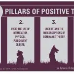 Positive reinforcement in dog training
