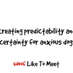 Predictability and control in the education and training of dogs