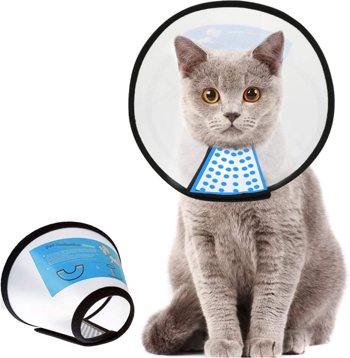 Protective collar for cats