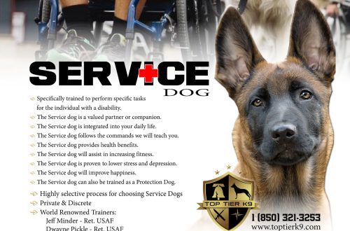 Protective guard service of dogs