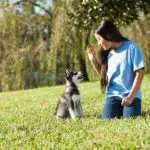 Puppy socialization: meeting people