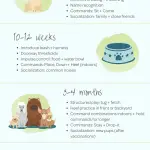 Puppy training 6 months