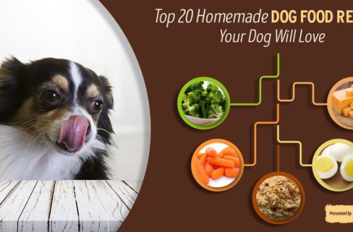 Recepti za jela i poslastice za vašeg psa