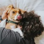 Relationship between man and dog