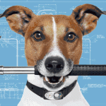 Repair and dog