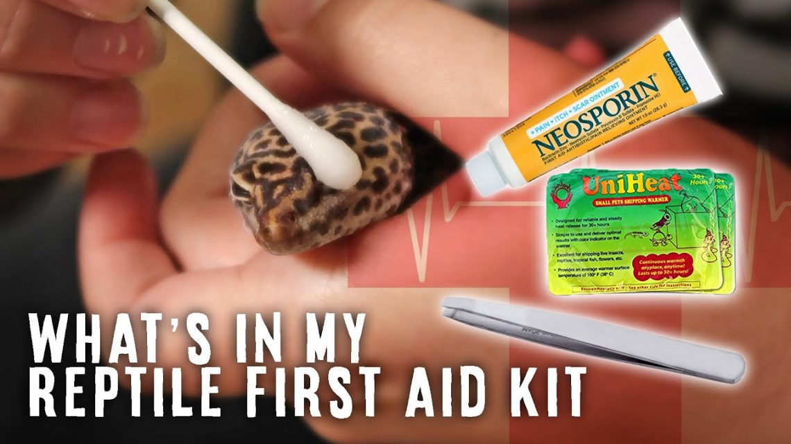 Reptile Owner&#8217;s First Aid Kit.