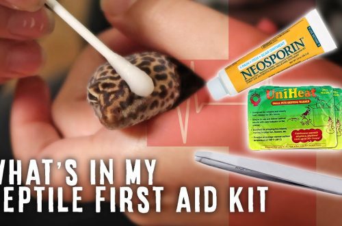 Reptile Owner&#8217;s First Aid Kit.