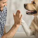 Right handed and left handed dogs
