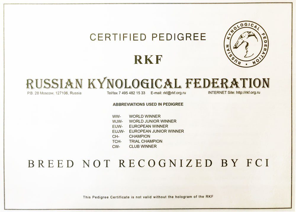 RKF documents for a dog &#8211; what is it?