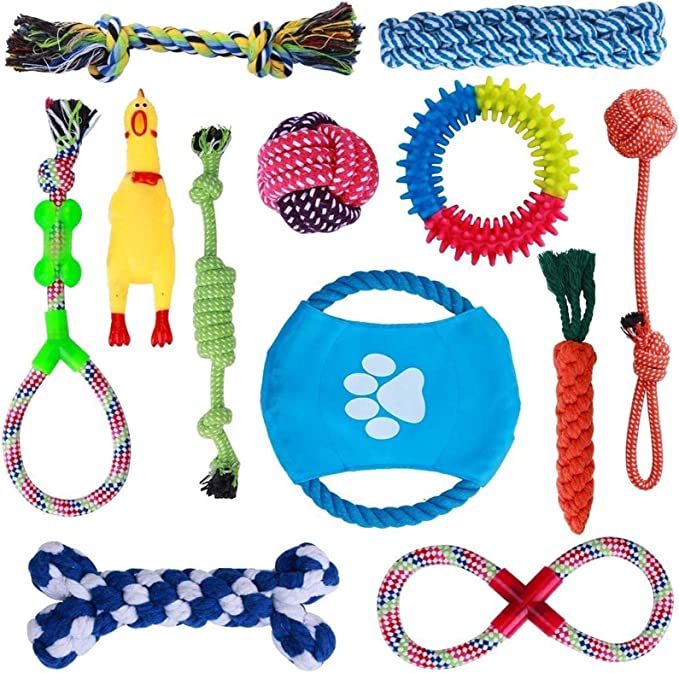 Rope for dogs. How to choose?