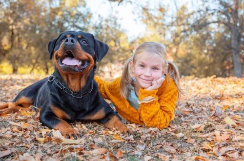 Rottweilerist on saanud kaheaastase tüdruku parim sõber