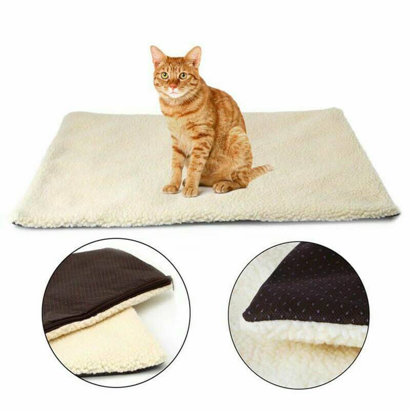 Rugs for cats