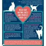 Rules for mating cats