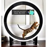Running wheel for cats