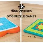 Search games for dogs