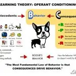 Selection of behavior in dog training