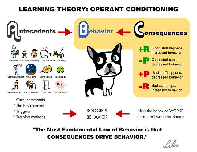 Selection of behavior in dog training
