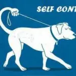 Self-control for a dog
