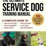 Service dog training