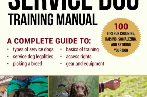 Service dog training