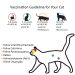 Veterinary procedures for kittens