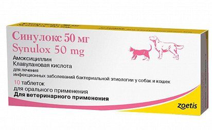 Synulox for dogs: instructions for use, reviews