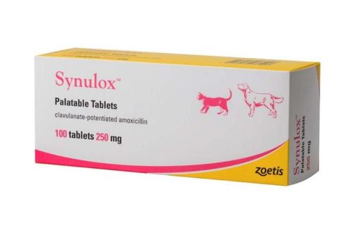 Synulox for dogs: instructions for use, reviews