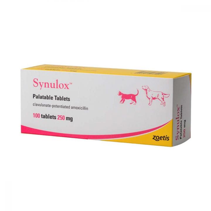 Synulox per i cani: istruzioni per l'usu, recensioni