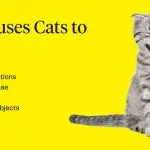The cat coughs and wheezes – the causes of coughing, and what to do?
