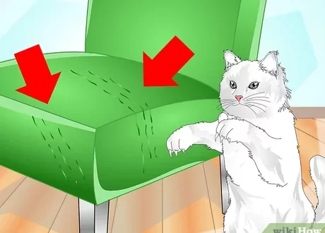 The cat ignores the scratching post. How to fix it?
