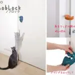 The cat keeps opening the door. What to do?