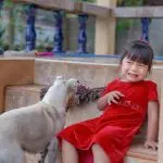 The child is afraid of dogs
