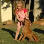 The dog bit the child