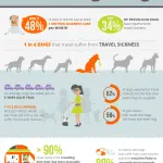 The dog is motion sick in the car: what to do?