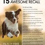 The dog learns not only in training