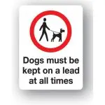 The dog must…