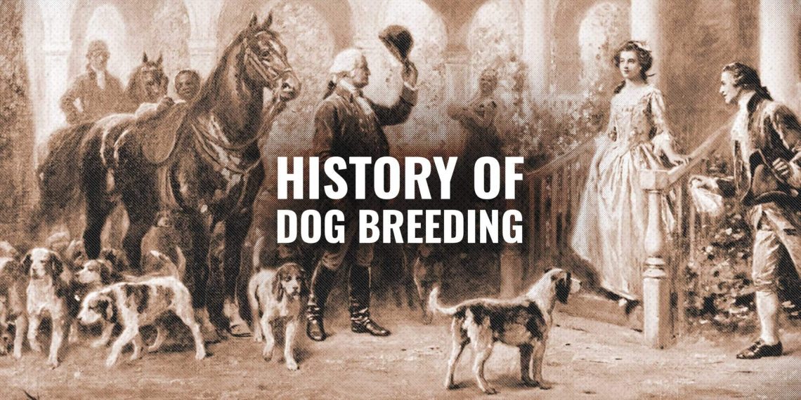 A dekoratív kutyatenyésztés története