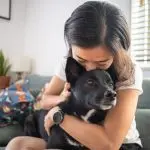 The intelligence of dogs in communication with people