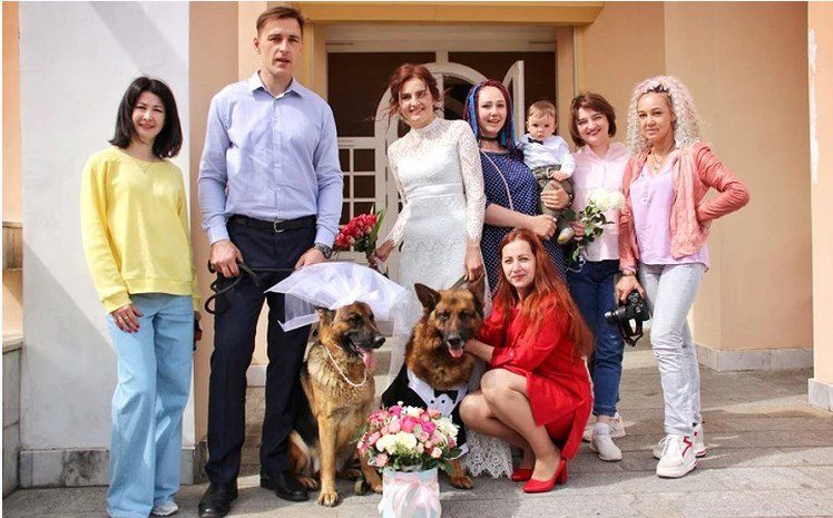 The most unusual wedding: the witnesses of the marriage were ... shepherd dogs!