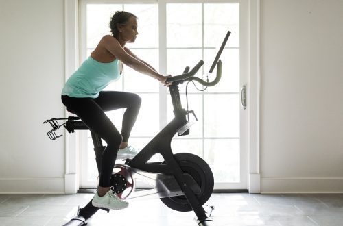 “Retriiver valdas “ratta” harjutust, tabades naiste fitnessi. Video!”