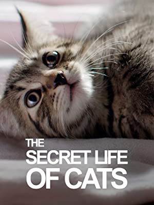 The Secret Life of the Young Cat Mars