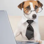 To work with a dog