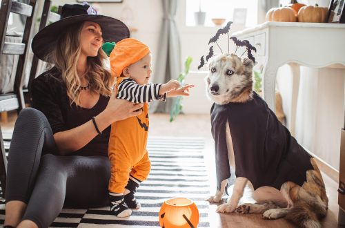 Top 100 Halloween Costumes for Your Pets!